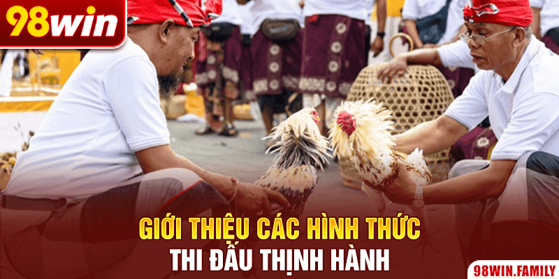 Giới thiệu các hình thức thi đấu thịnh hành