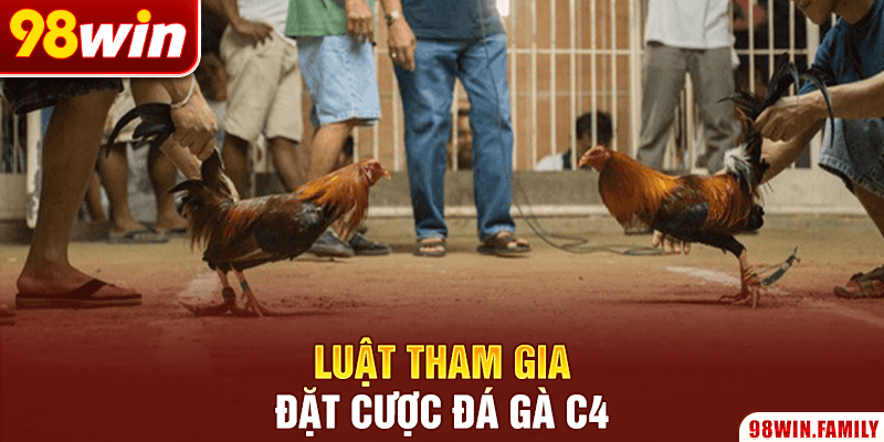 Luật tham gia đặt cược đá gà C4